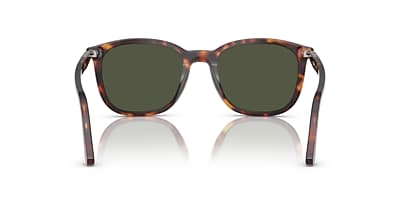 Persol PO3355S Sunglasses in Havana Persol Persol Japan